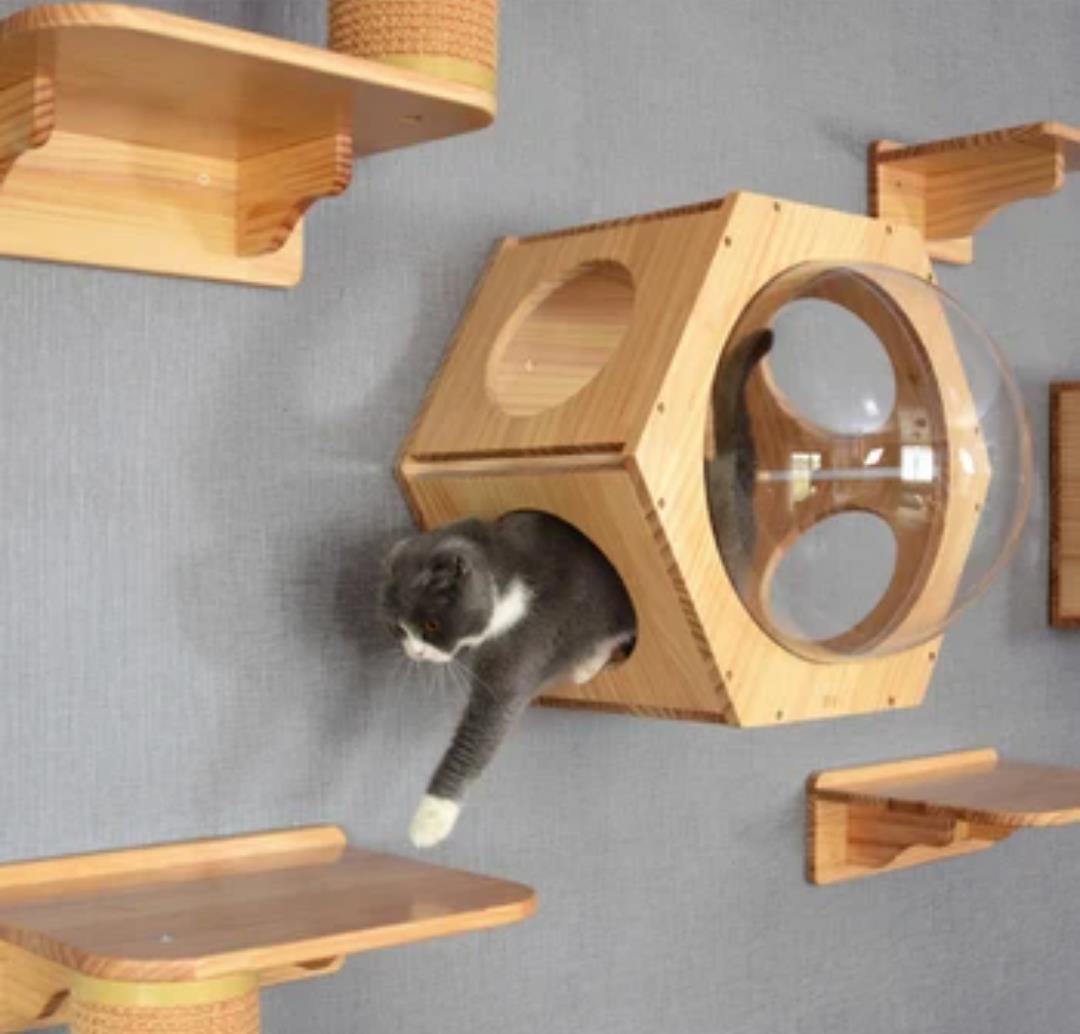 Kedi duvar yatağı, Kedi duvar parkuru, Kedi duvar evi, Petek Kedi Rafı, Birbirine eklenebilir, BuShop Ahşap Uzay Petek Tek Adet.