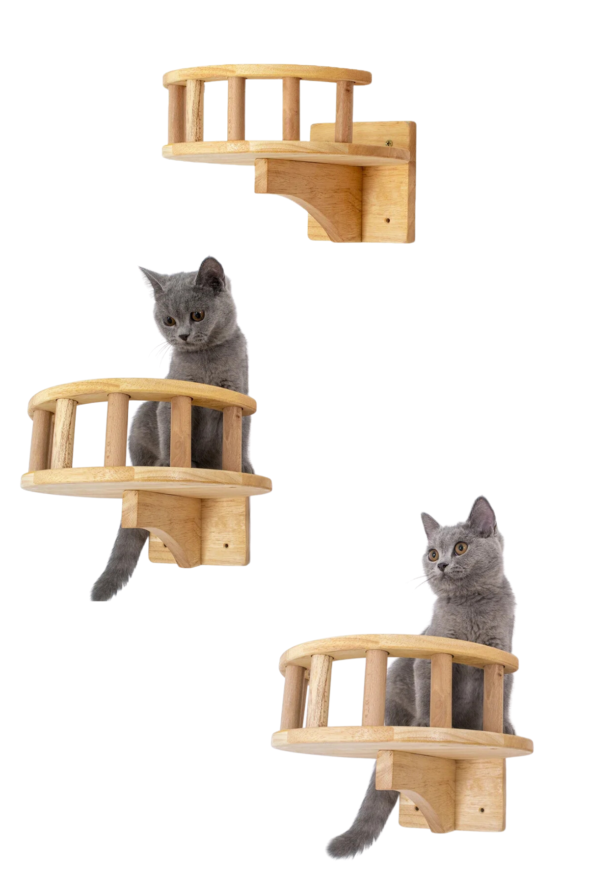 Kedi duvar yatağı Kedi duvar parkuru Kedi duvar rafı Kedi duvar oyun alanı Patiyol 3 parça Hadrian Series
