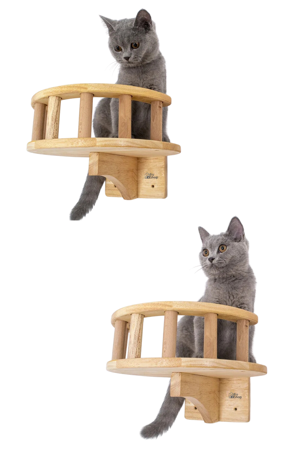 Kedi duvar yatağı Kedi duvar parkuru Kedi duvar rafı Kedi duvar oyun alanı Patiyol 3 parça Hadrian Series