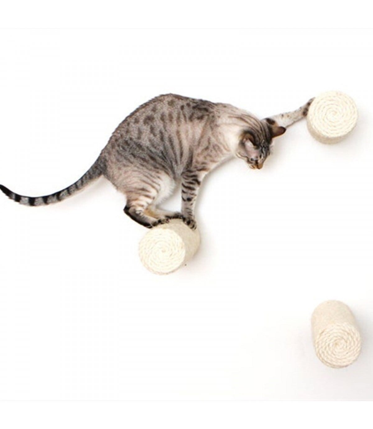Kedi için Duvara Asılabilir Tırmalama Dalı - Üç  Adet Tırmalama ve  Atlama Duvar Dalı Seti