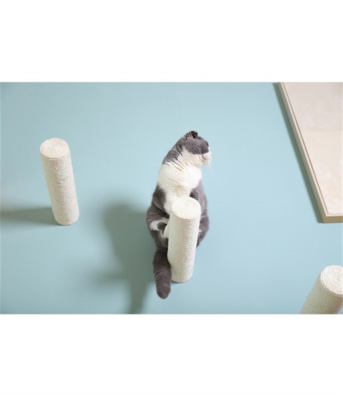 Kedi Duvara Asılabilir Tırmalama Dalı - Beyaz İki Adet Tırmalama ve  Atlama Duvar Dalı Seti