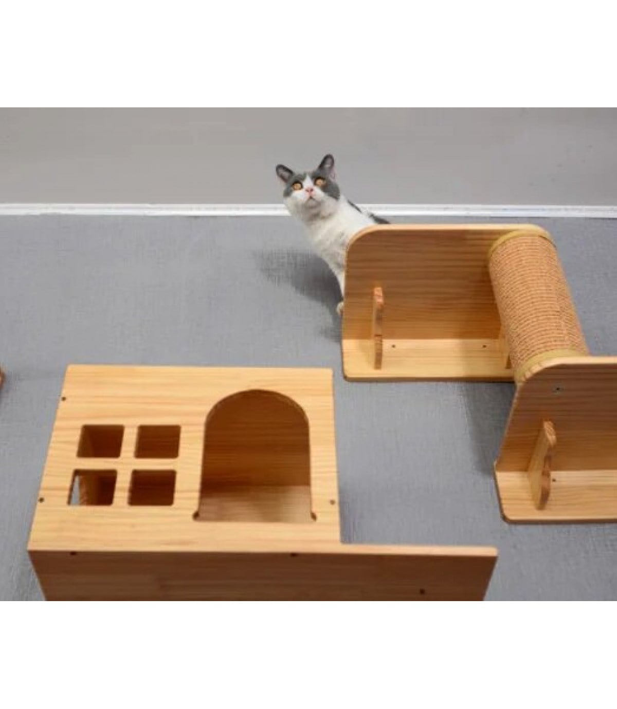 Kedi Ev için Tırmanma Ağacı BuShop Duvara Monte Pet Mobilya Tırmanma Merdiveni Enerji Atma Ve Oyun 