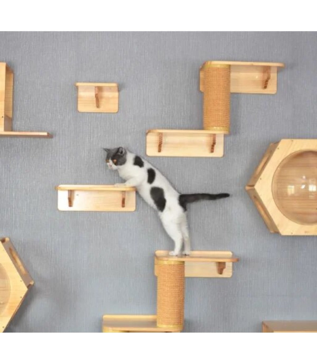 Kedi Ev için Tırmanma Ağacı BuShop Duvara Monte Pet Mobilya Tırmanma Merdiveni Enerji Atma Ve Oyun 