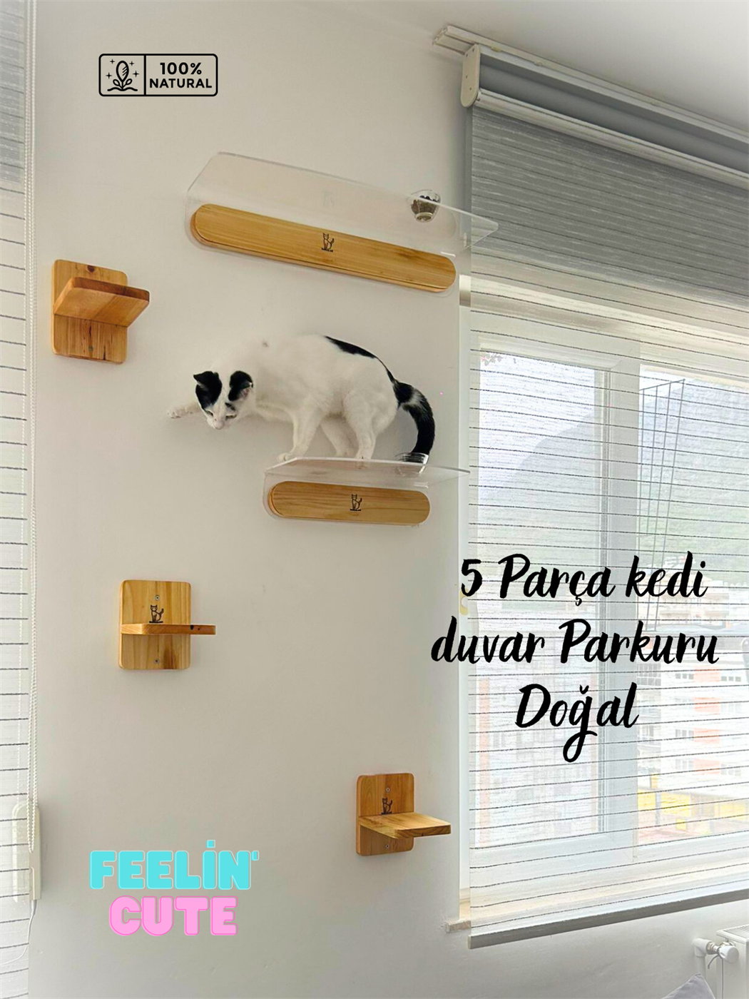 Kedi evi, Kedi parkuru, Kedi yatağı, Kedi Duvar Evi, Kedi Duvar Rafı, Muhteşem 5 parça kedi parkuru , Bushop Flat