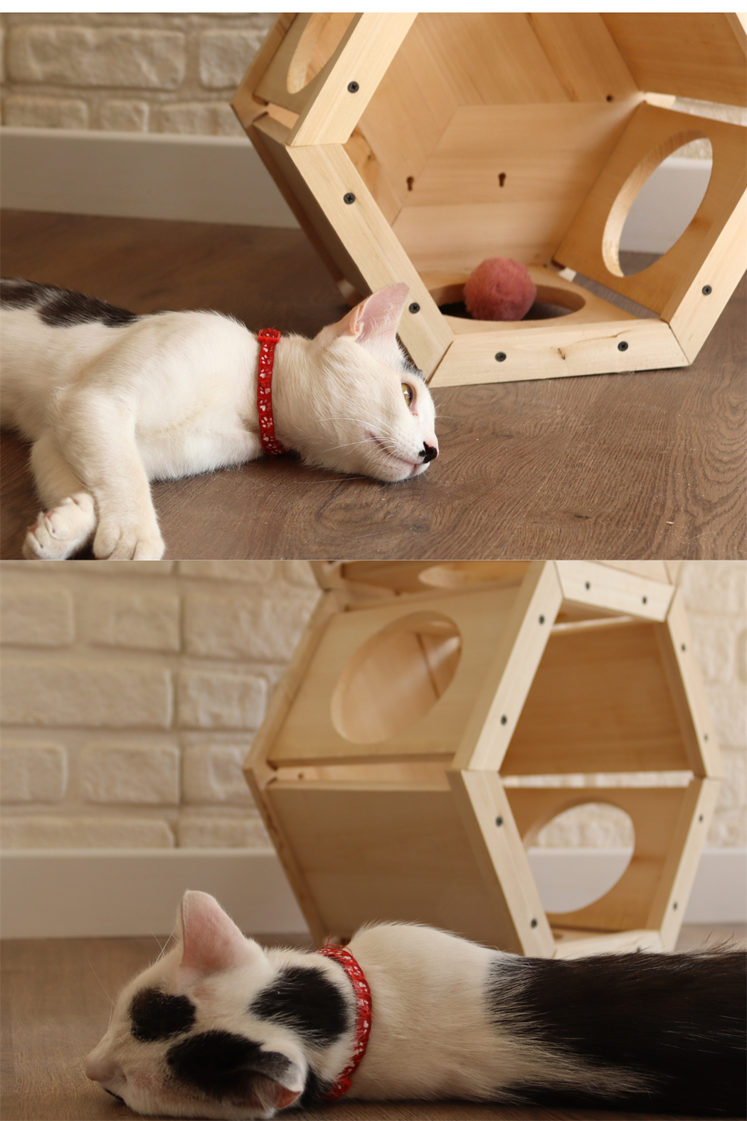 Kedi evi ,Kedi Yuvası, İkili Kedi Kulübesi seti, Kedi Oyun Parkuru Oluştur, Petek Model BuShop