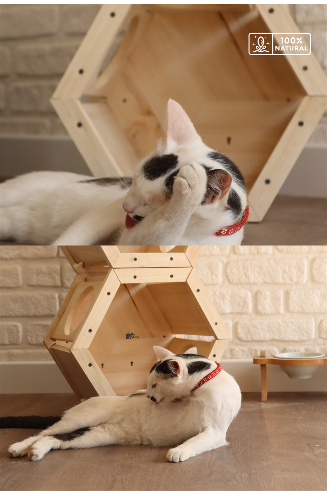 Kedi evi ,Kedi Yuvası, İkili Kedi Kulübesi seti, Kedi Oyun Parkuru Oluştur, Petek Model BuShop