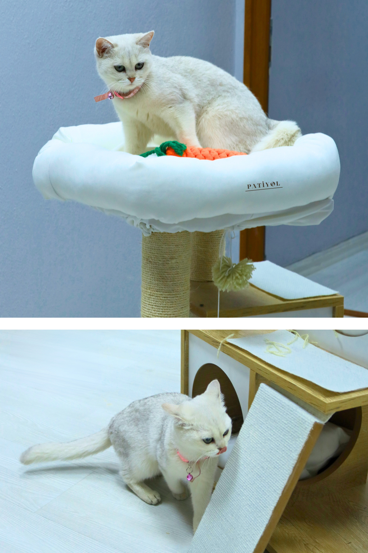 Kedi evi Kedi yatağı Kedi Tırmalama Evi Patiyol Modern Loft Kedi Oyun Evi