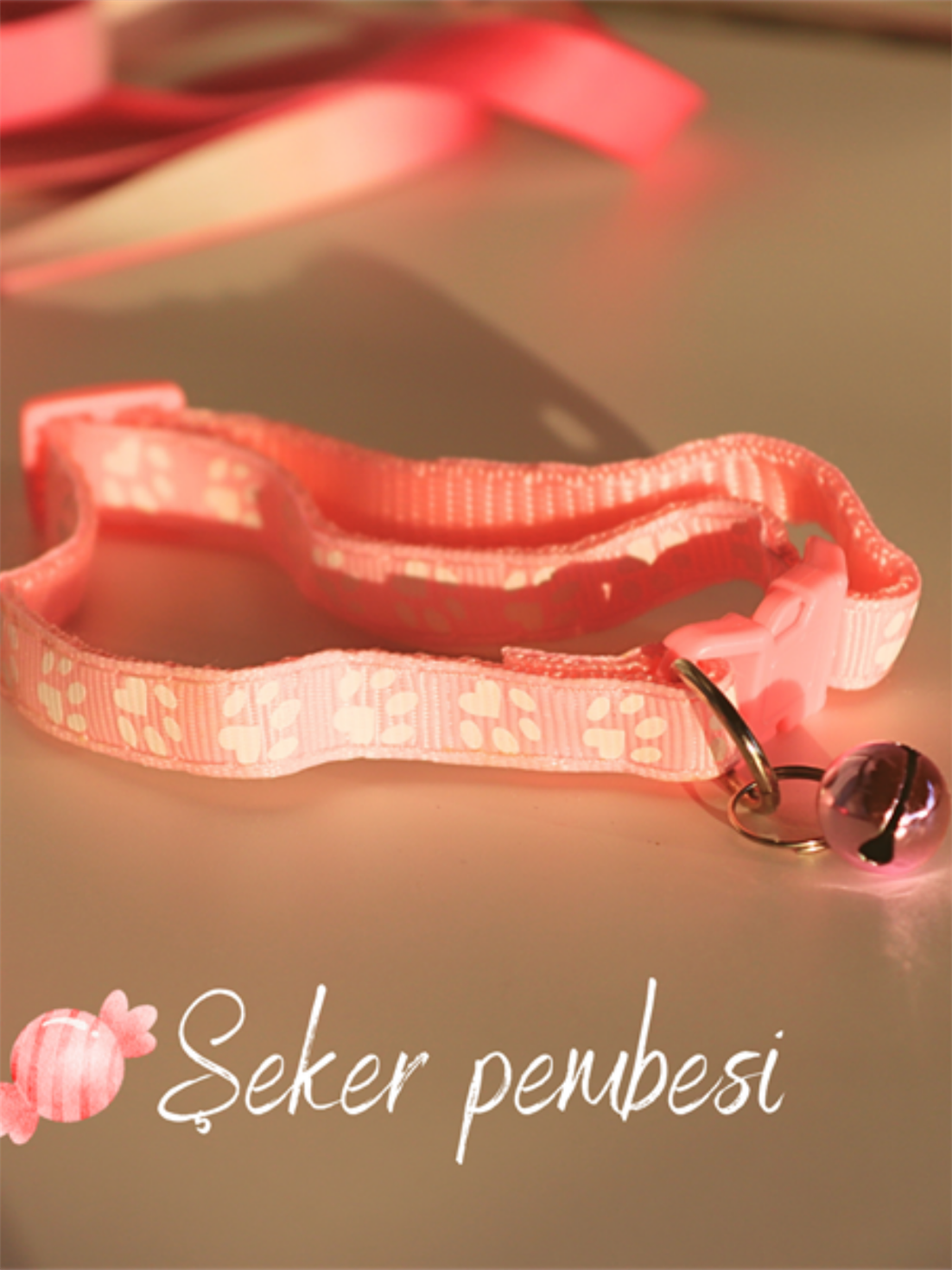 Kedi kıyafeti, kedi yağmurluk,Kedi elbisesi M kedi tasması, kedi künyesi,2 li set  Barbie pro serisi 