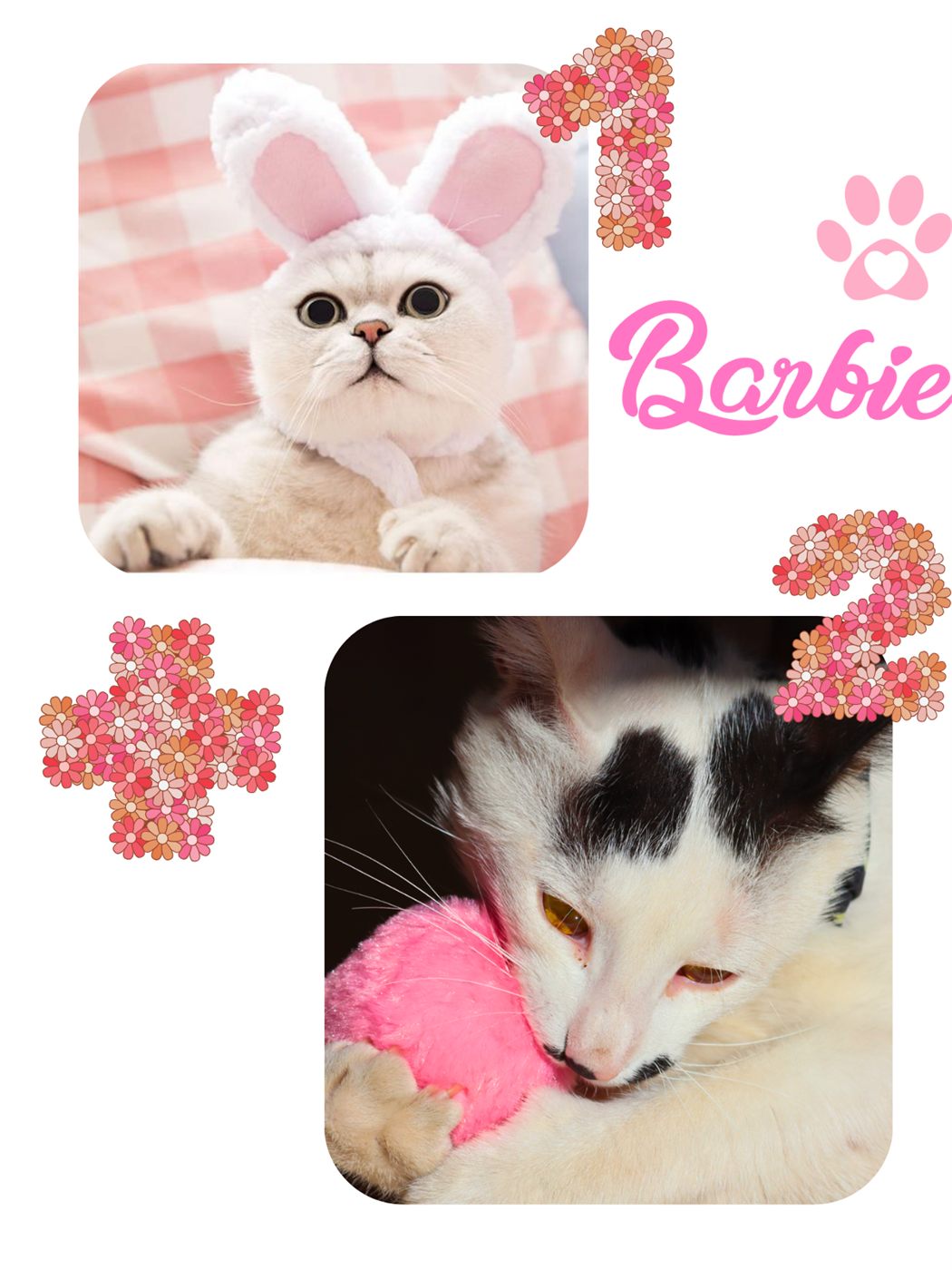 Kedi kıyafeti,kedi şapkası M kedi aksesuarları,M kedi oyuncağı, kedi peluş top oyuncak,kedi otomatik oyuncağı,kedi eğitici oyuncak 2 li set  Barbie serisi