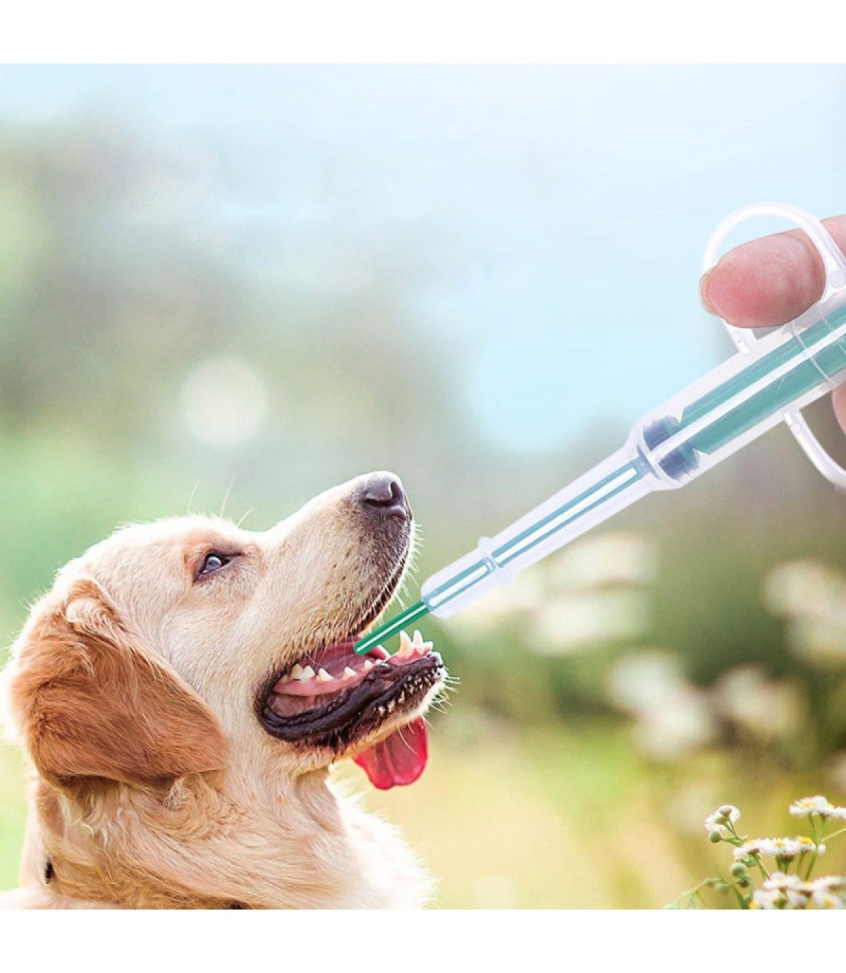 Kedi Köpek Beslenme Şırıngası-Mavi  