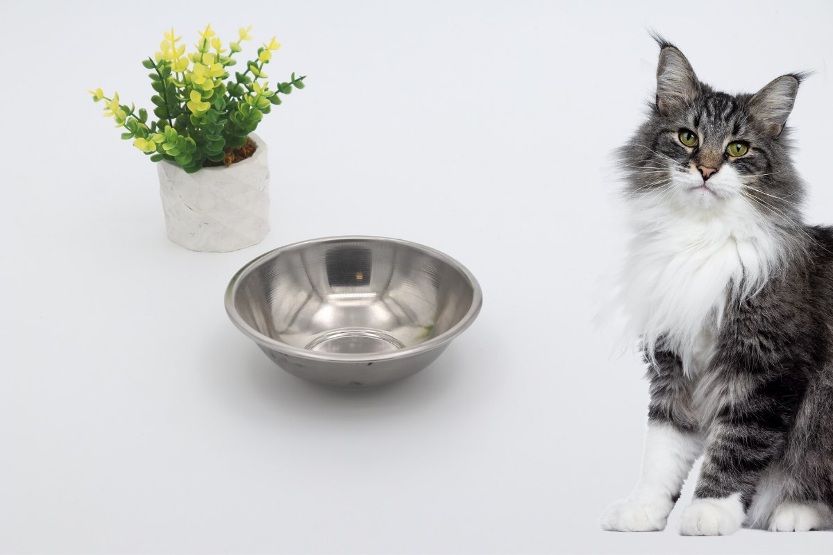 Kedi köpek mama kasesi 14cm  Metal Yüksek Kalite BuShop