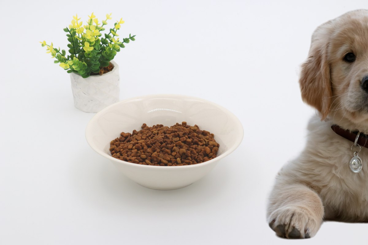 Kedi köpek mama kasesi 15cm Bordo Seramik Yüksek Kalite BuShop