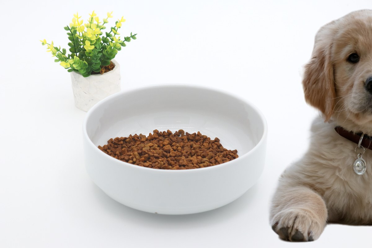 Kedi köpek mama kasesi 21cm Beyaz Seramik Yüksek Kalite BuShop