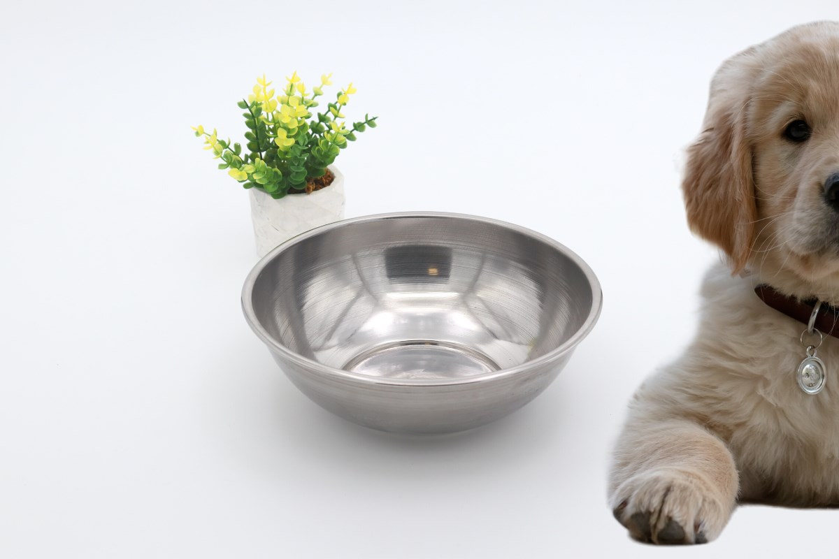 Kedi köpek mama kasesi 22cm  Metal Yüksek Kalite BuShop