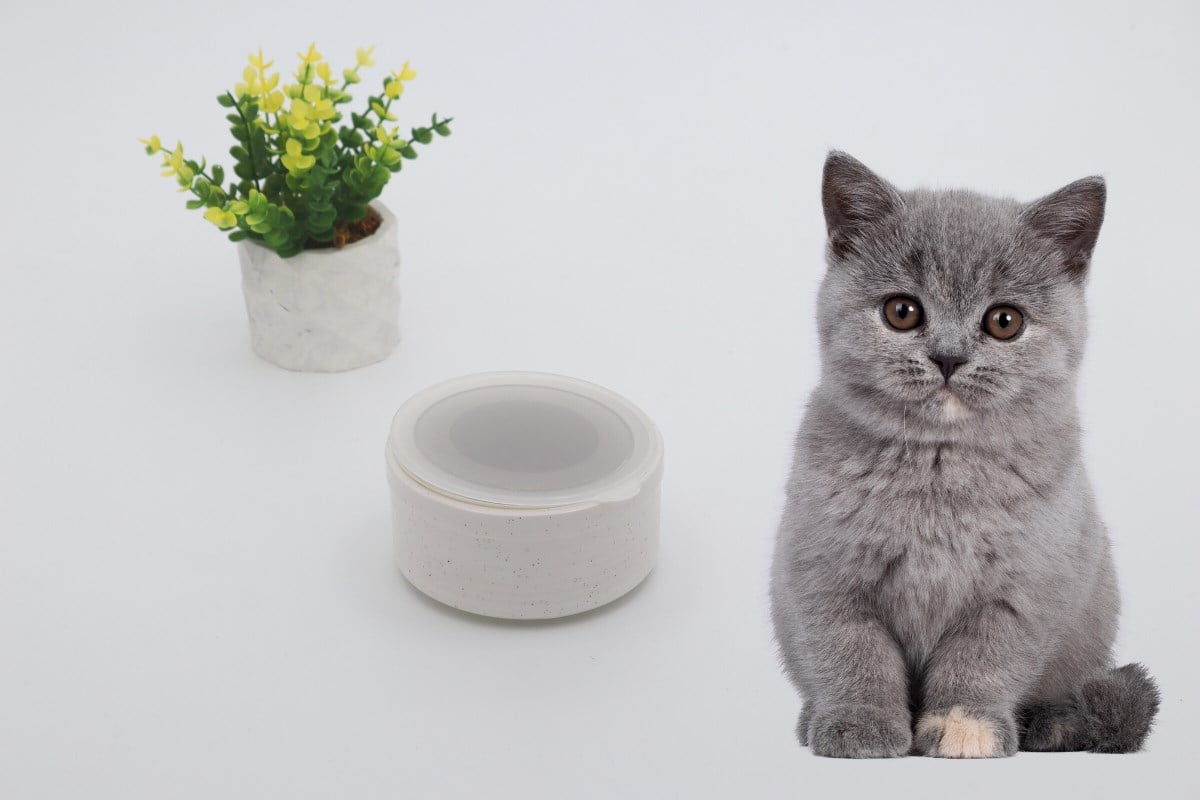 Kedi köpek mama kasesi 8cm Beyaz Seramik Yüksek Kalite BuShop