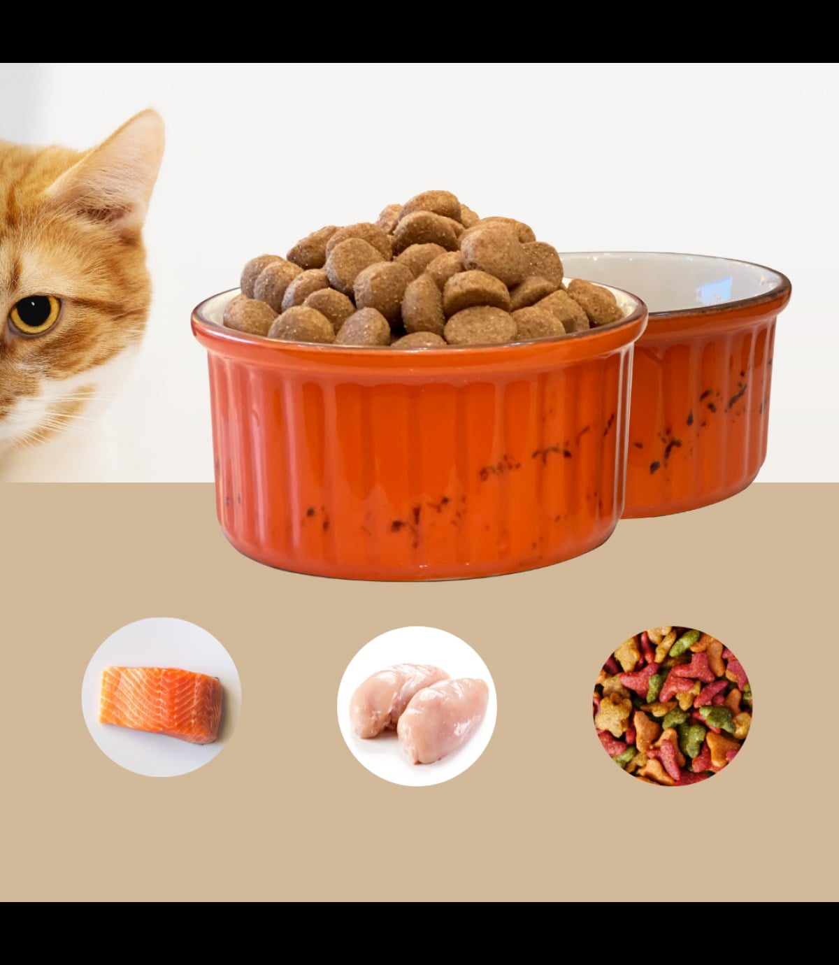 Kedi köpek mama kasesi Tekli 10cm  Porselen  Yüksek Kalite Ateş Böceği Serisi