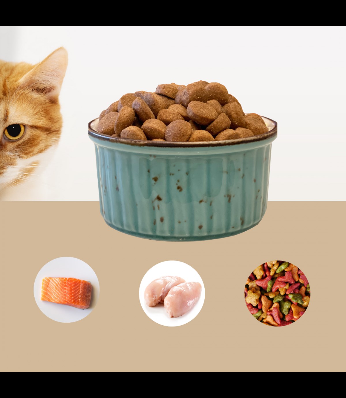 Kedi köpek mama kasesi Tekli 10cm  Porselen  Yüksek Kalite Mavi Kelebek Serisi