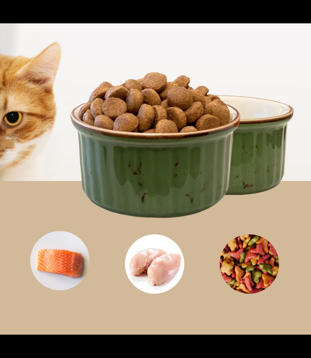 Kedi köpek mama kasesi Tekli 10cm  Porselen  Yüksek Kalite  Bukalemun Serisi