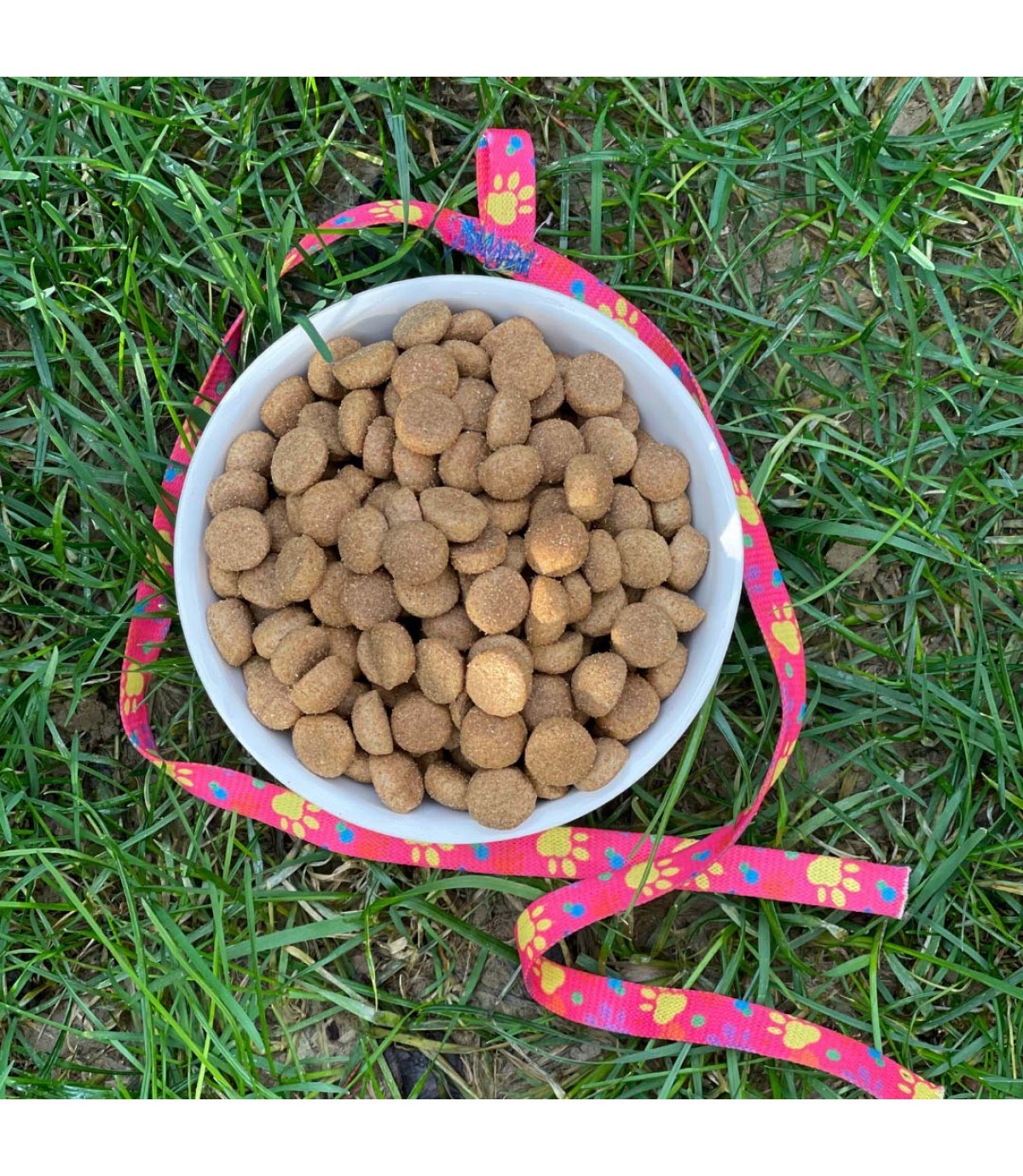 Kedi köpek mama kasesi Tekli 14,5cm Seramik Yüksek Kalite Şeker Serisi