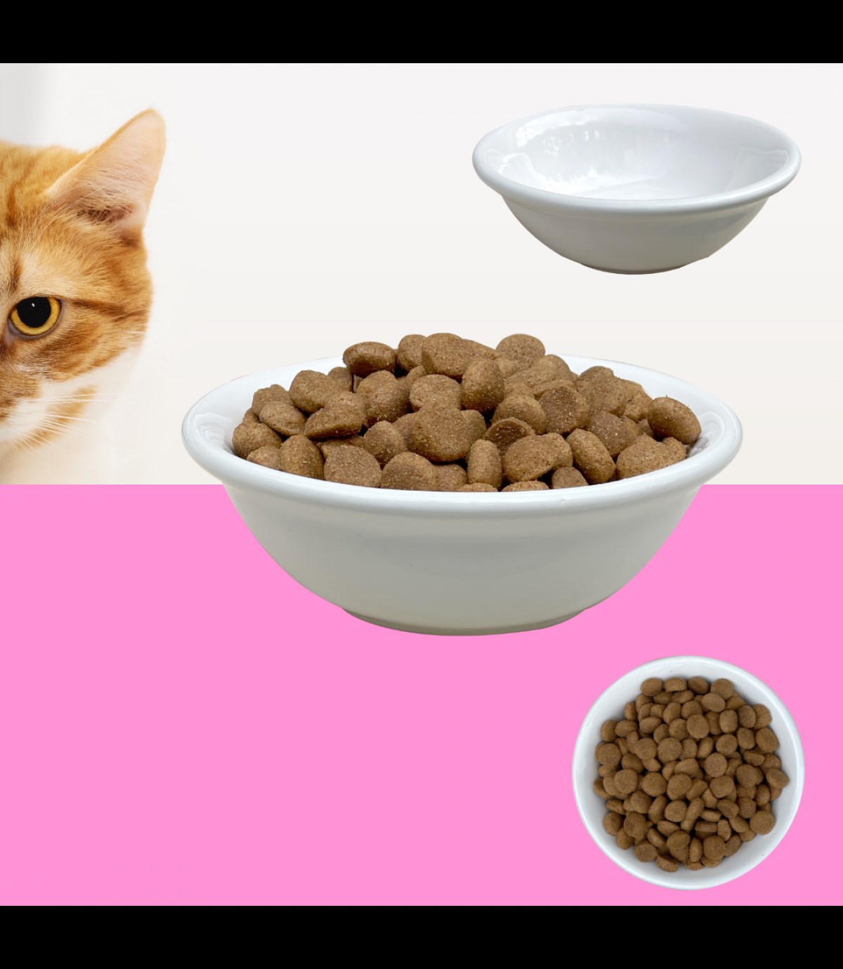 Kedi köpek mama kasesi Tekli 14,5cm Seramik Yüksek Kalite Şeker Serisi