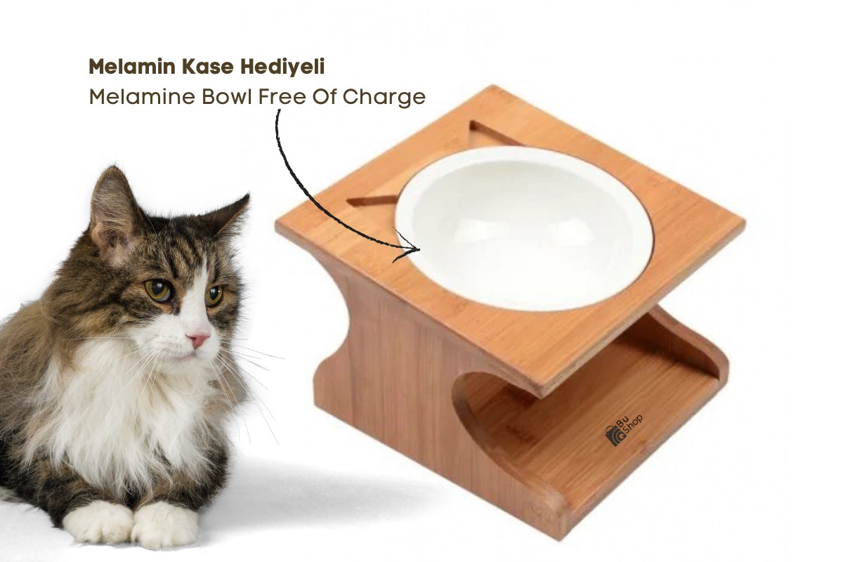 Kedi Köpek Mama ve Su kabı Melamin Kırılmaz Tek kase Kontrplak Ahşap BuShop Katya