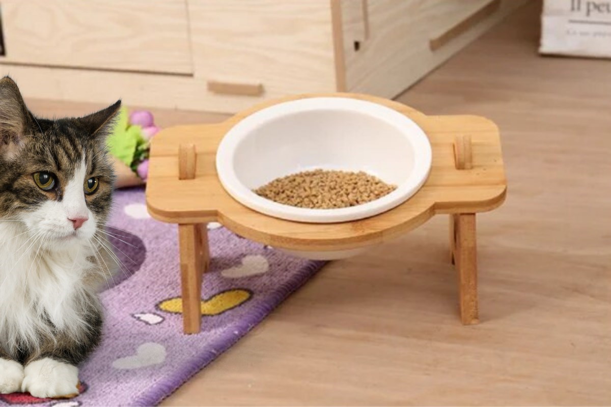 Kedi Köpek Mama Ve Su Kabı-Kırılmaz Melamin Bir Adet Kase Hediyeli-Gerçek Ahşap-Kayın Renk-BuShop Mişa 