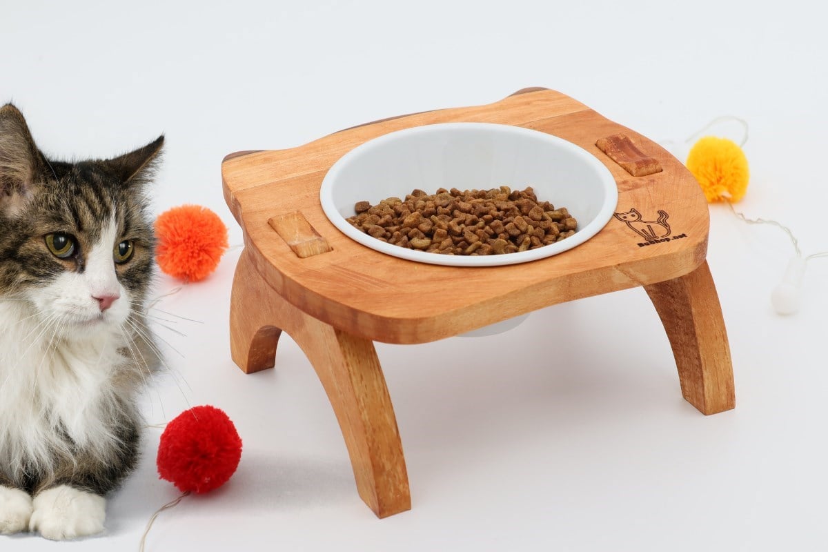 Kedi Köpek Mama Ve Su Kabı-Kırılmaz Melamin Bir Adet Kase Hediyeli-Gerçek Ahşap-Armut Kiraz-BuShop Mızmız 