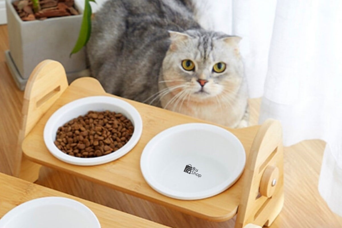 Kedi Köpek Mama Ve Su Kabı-Melamin İki Adet Kase Hediyeli-Gerçek Ahşap-Kayın Renk-BuShop Alfa 
