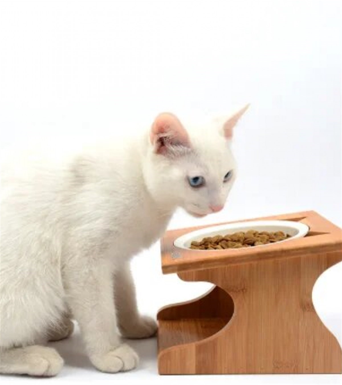 Kedi Köpek Mama ve Su kabı Melamin Kırılmaz Tek kase Kontrplak Ahşap BuShop Katya