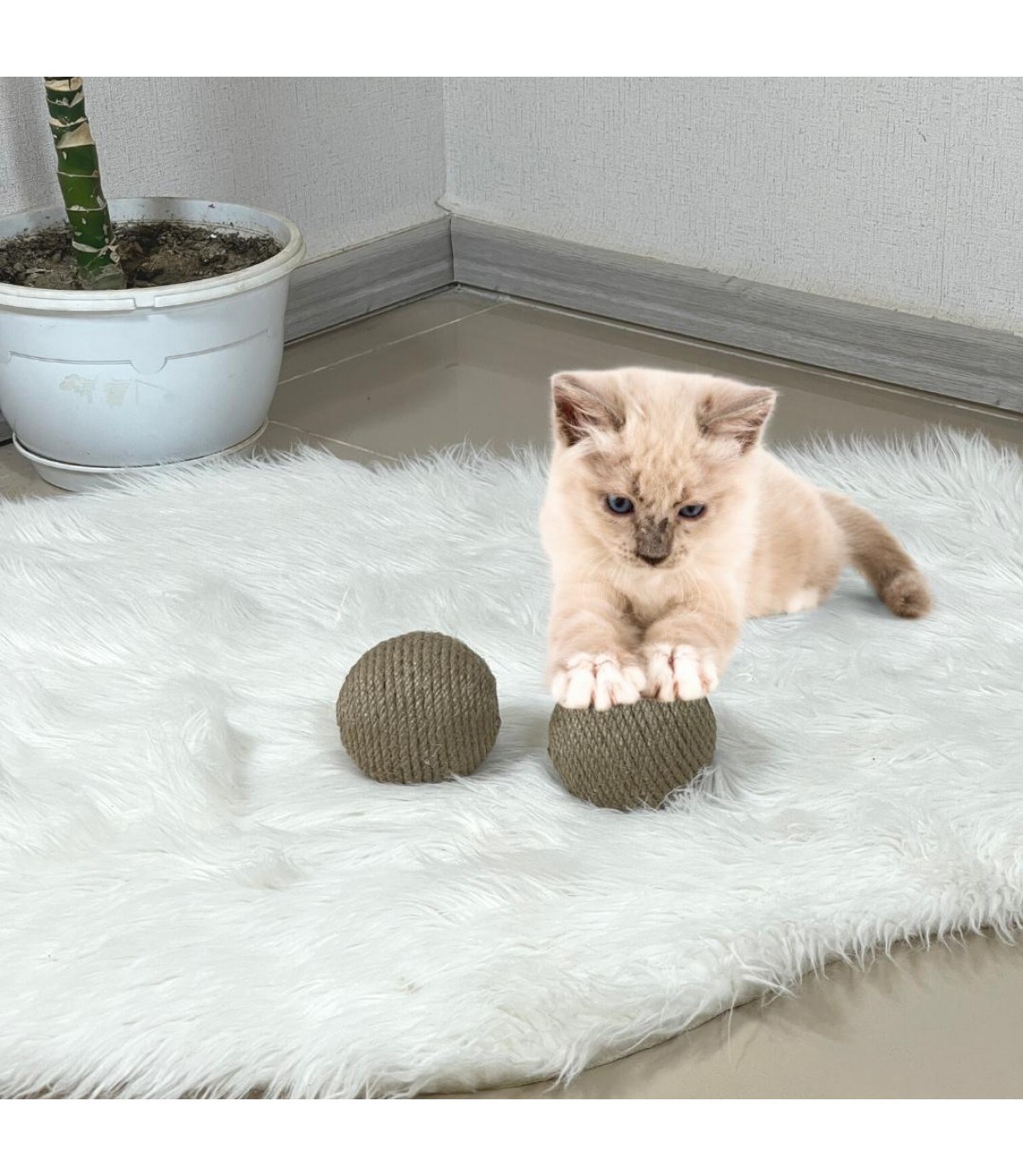 Kedi Köpek Oyun Topu Enerji Atma oyunu Eşyalarınıza zarar vermez İkili Set BuShop Rope Ball