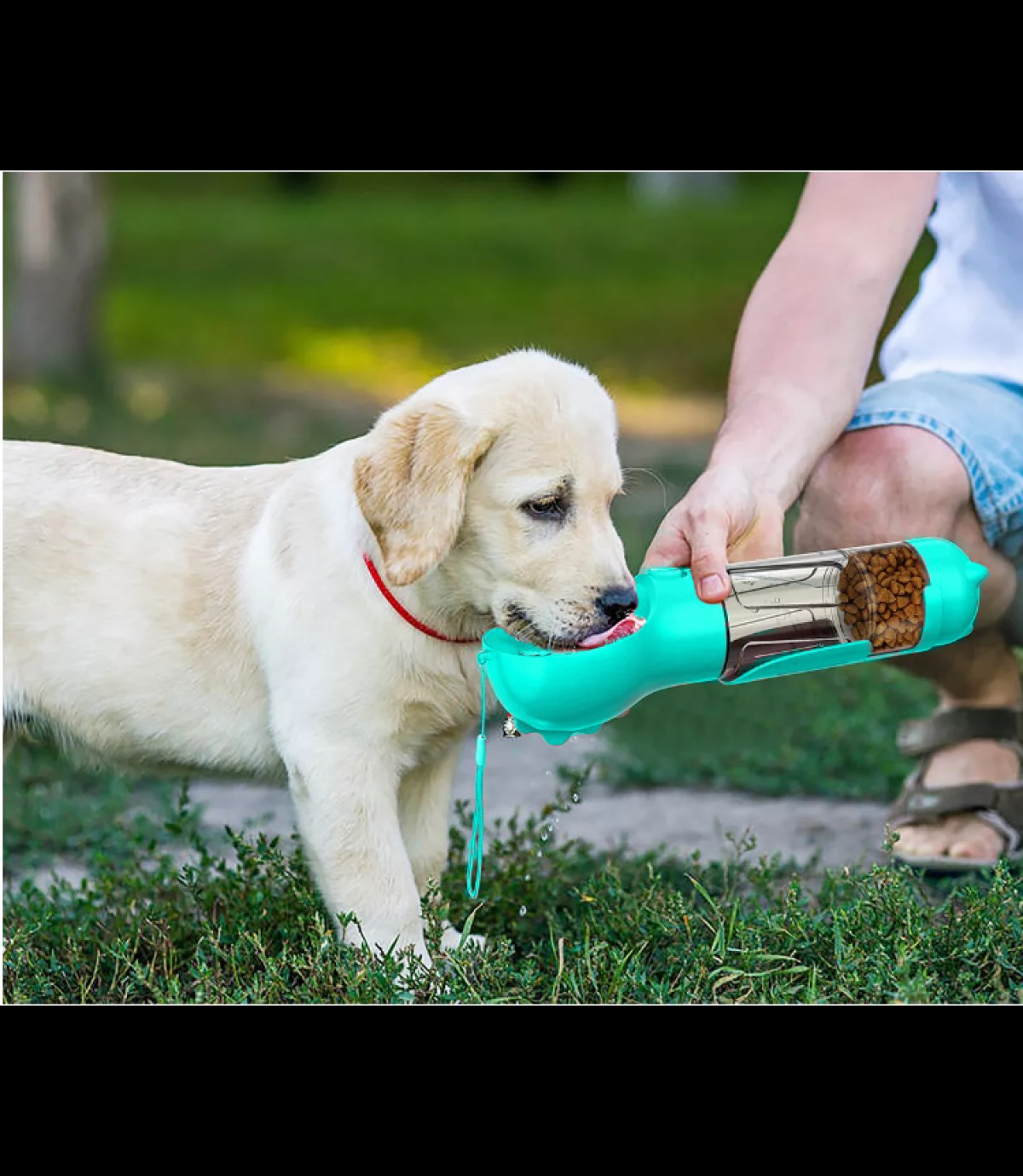 Kedi Köpek Taşınabilir  Mamalığı  ve Seyahat Suluğu Şişesi  BuShop Atık Torbalı Turkuaz