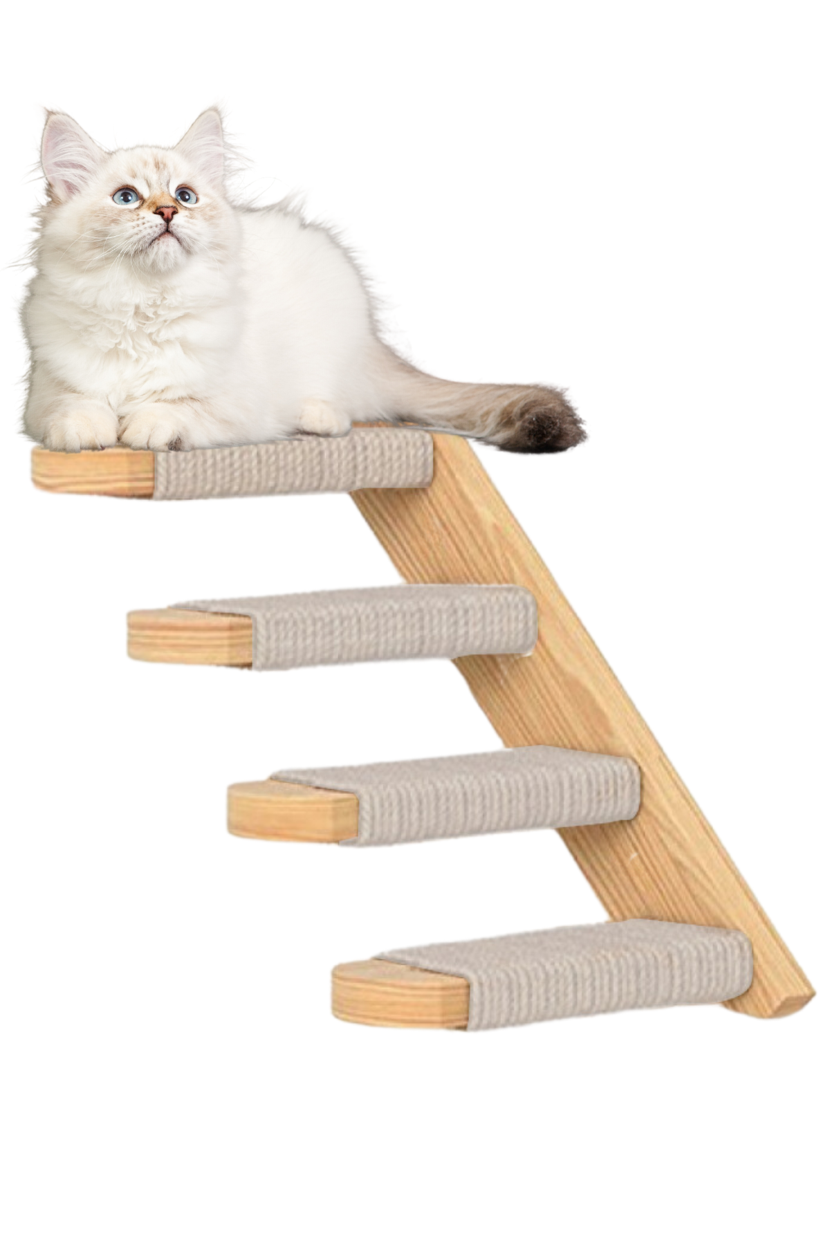 Kedi merdiveni Ahşap kedi tırmalaması Doğal Kedi Tırmanma ve Tırmalama Merdiveni Pamukkale Sağ Model