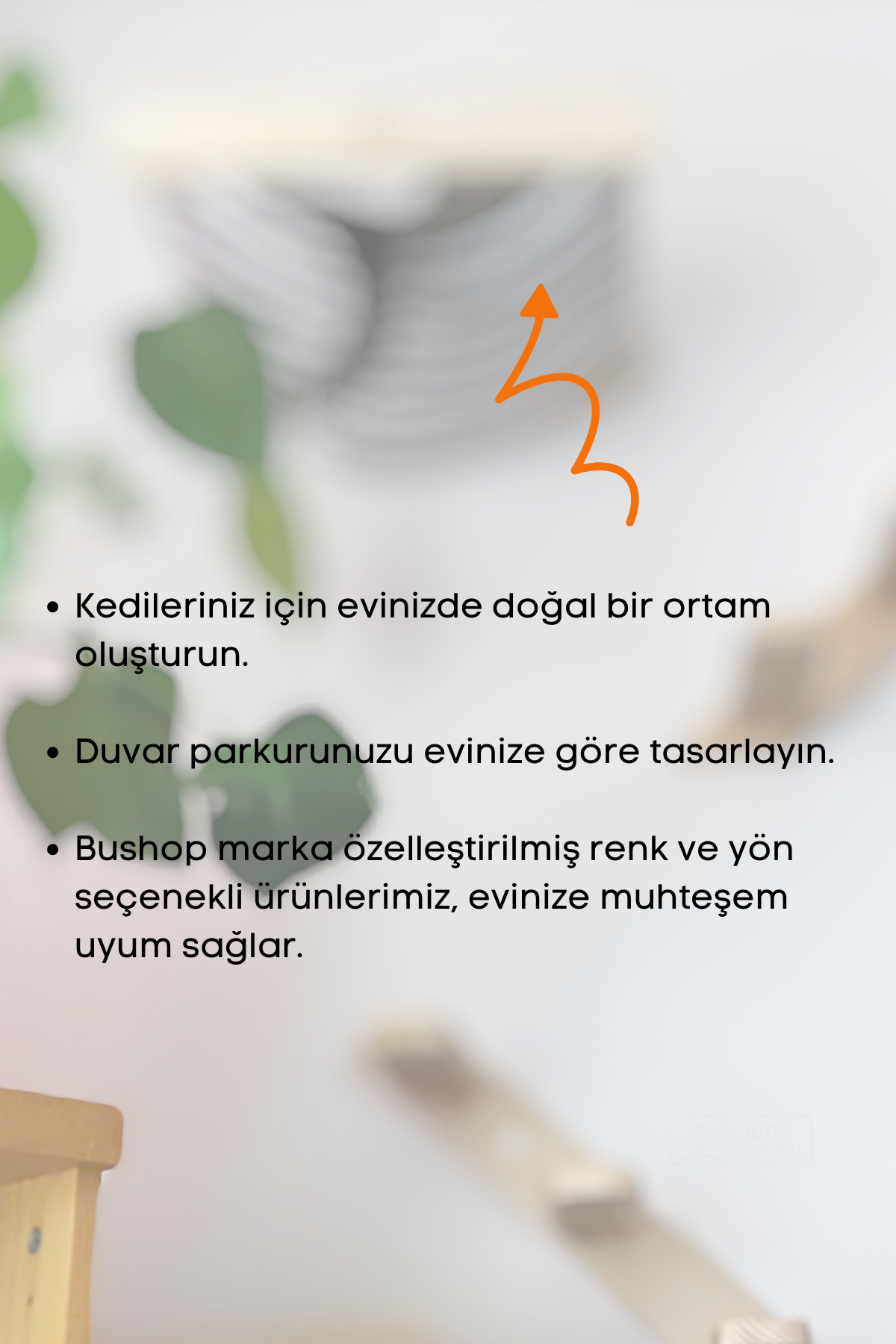 kedi merdiveni, kedi tırmalaması, Kedi Tırmanma Duvar Merdiveni, Doğal 2 Parça, BuShop