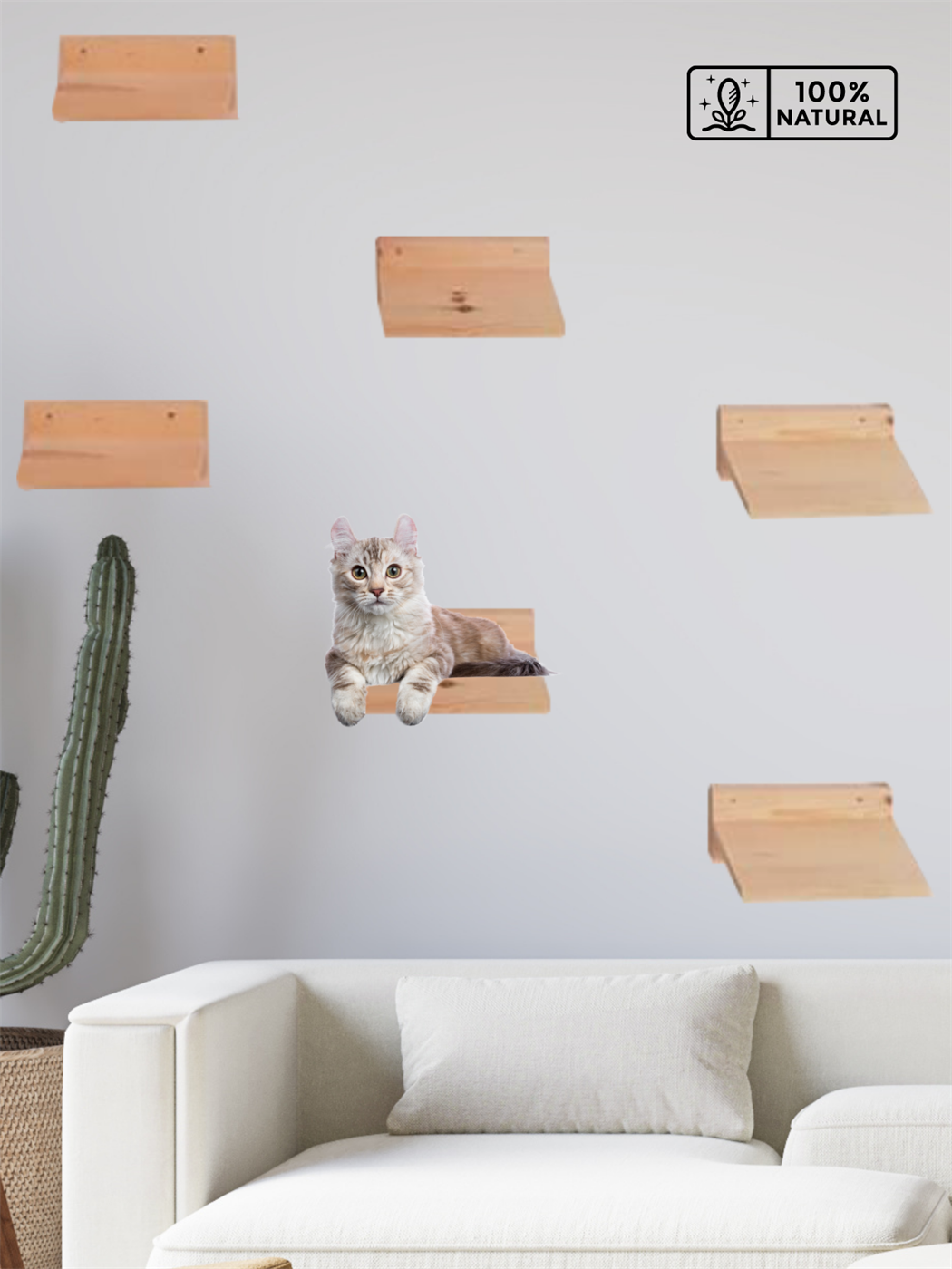 kedi merdiveni, kedi tırmalaması, Kedi Tırmanma Duvar Merdiveni, Doğal 6 Parça, BuShop Eco Raf