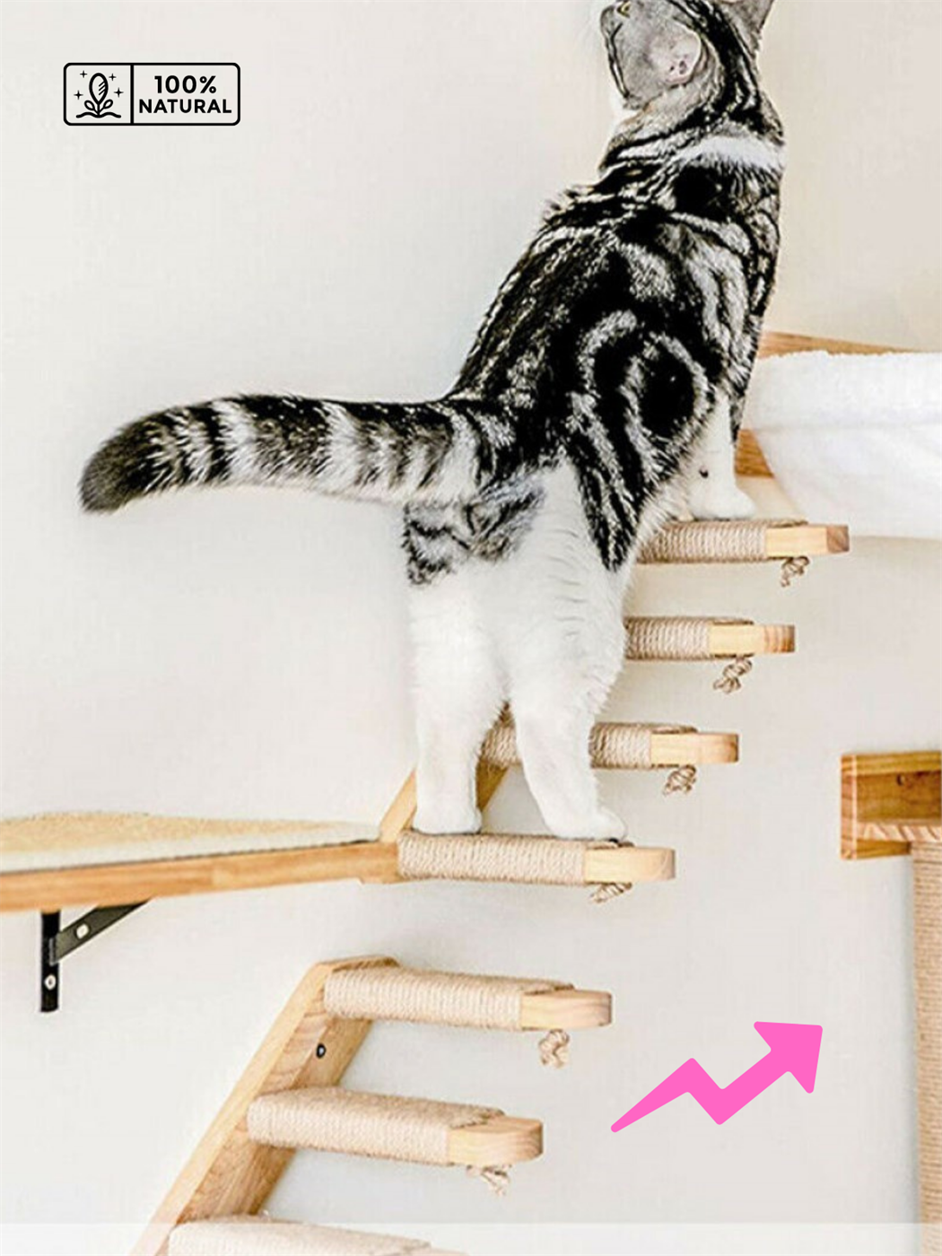 Kedi merdiveni, Kedi tırmanma merdiveni, Doğal Ahşap İkili Merdiven Seti, Sol Model Beyaz