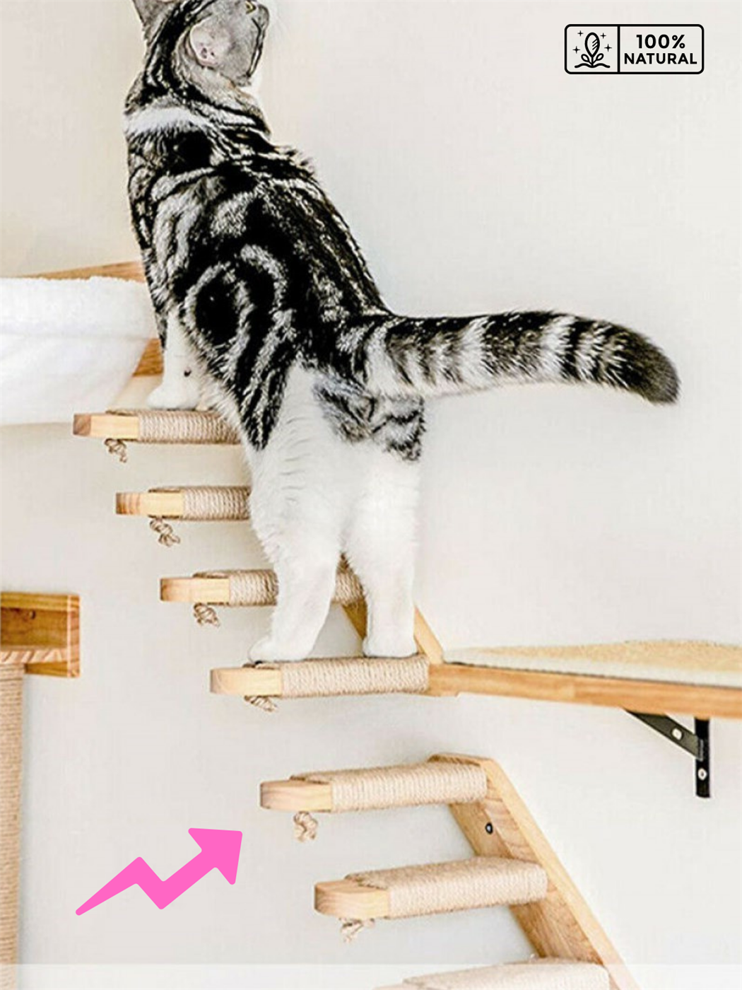 Kedi merdiveni, Kedi tırmanma merdiveni, Doğal Ahşap İkili Merdiven Seti, Sağ Model Beyaz