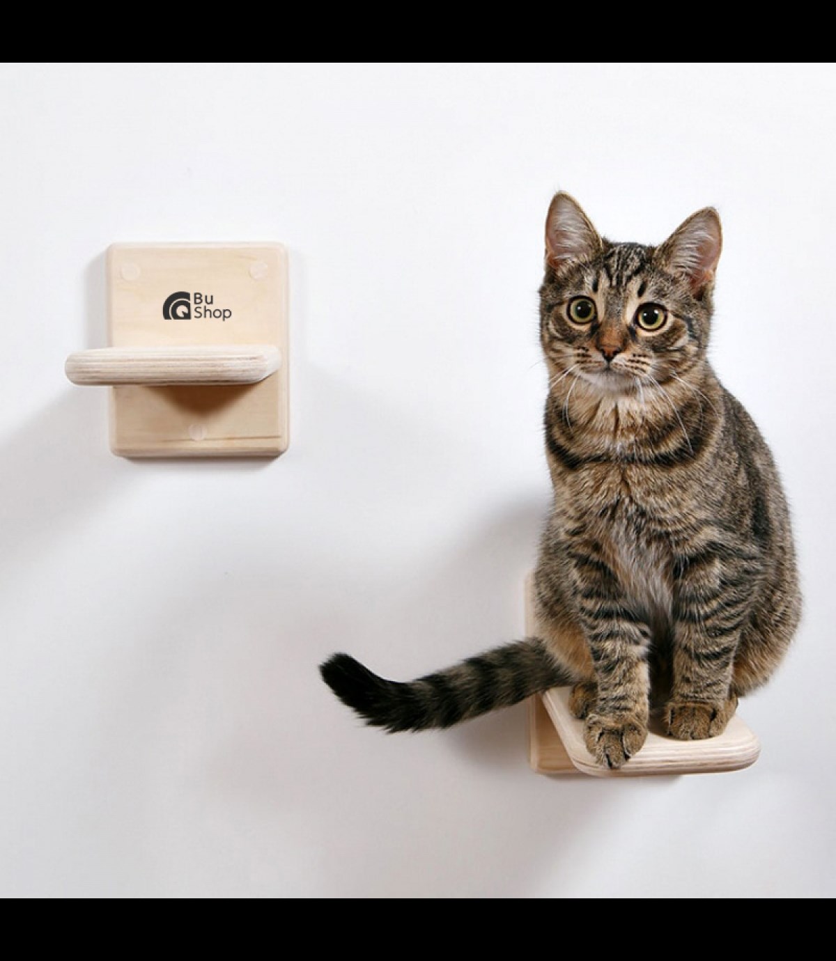 Kedi  Merdiveni  Tırmanma  ve Atlama  Doğal Ahşap Elit Tasarım BuShop Duvara için Monte Üçlü set