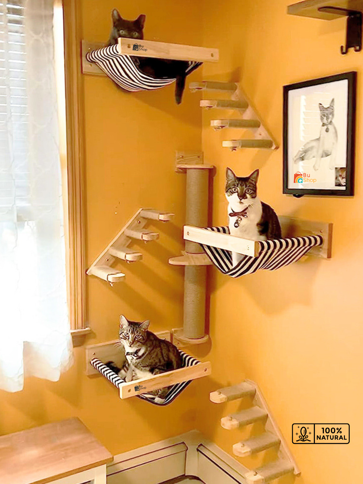 Kedi parkuru, Kedi evi, Kedi yatağı, Kedi Duvar Evi, Kedi Duvar Rafı, Muhteşem 7 parça kedi parkuru , Bushop Yellow