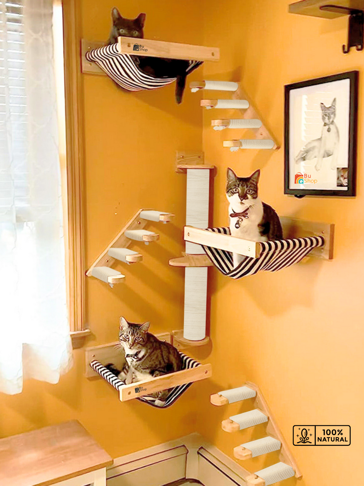 Kedi Parkuru, Kedi Evi, Kedi Yatağı, Kedi Duvar Evi, Kedi Duvar Rafı, Lüks 7 Parça Kedi Parkuru Beyaz Sağ