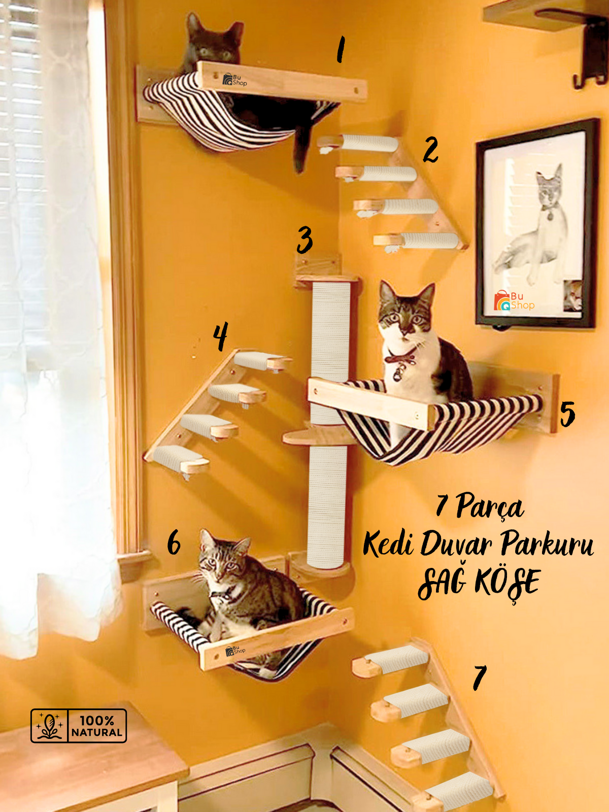 Kedi Parkuru, Kedi Evi, Kedi Yatağı, Kedi Duvar Evi, Kedi Duvar Rafı, Lüks 7 Parça Kedi Parkuru Beyaz Sağ