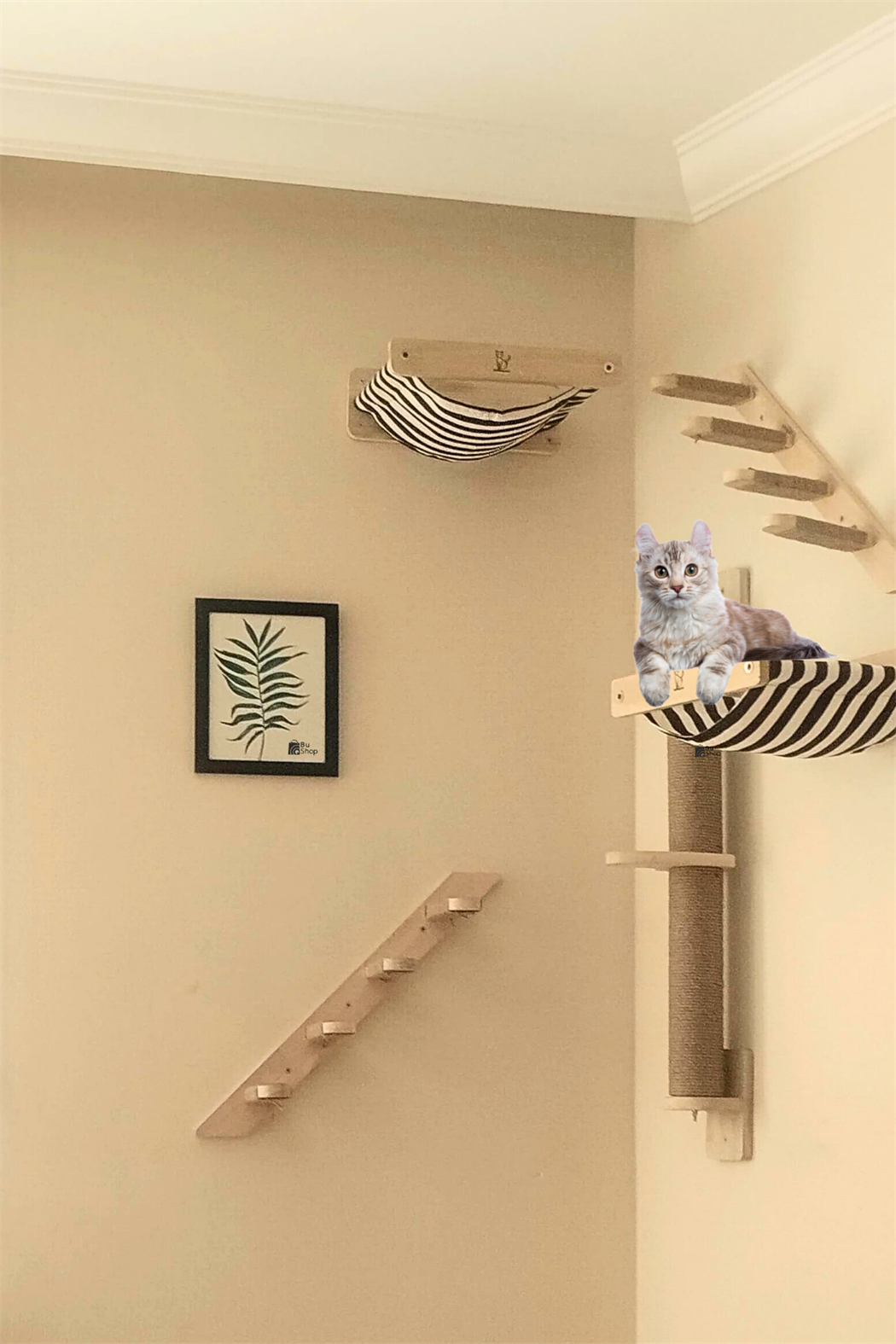 Kedi parkuru, Kedi evi, Kedi yatağı, Kedi Duvar Evi, Kedi Duvar Rafı, Muhteşem 5 parça sağ kedi parkuru set