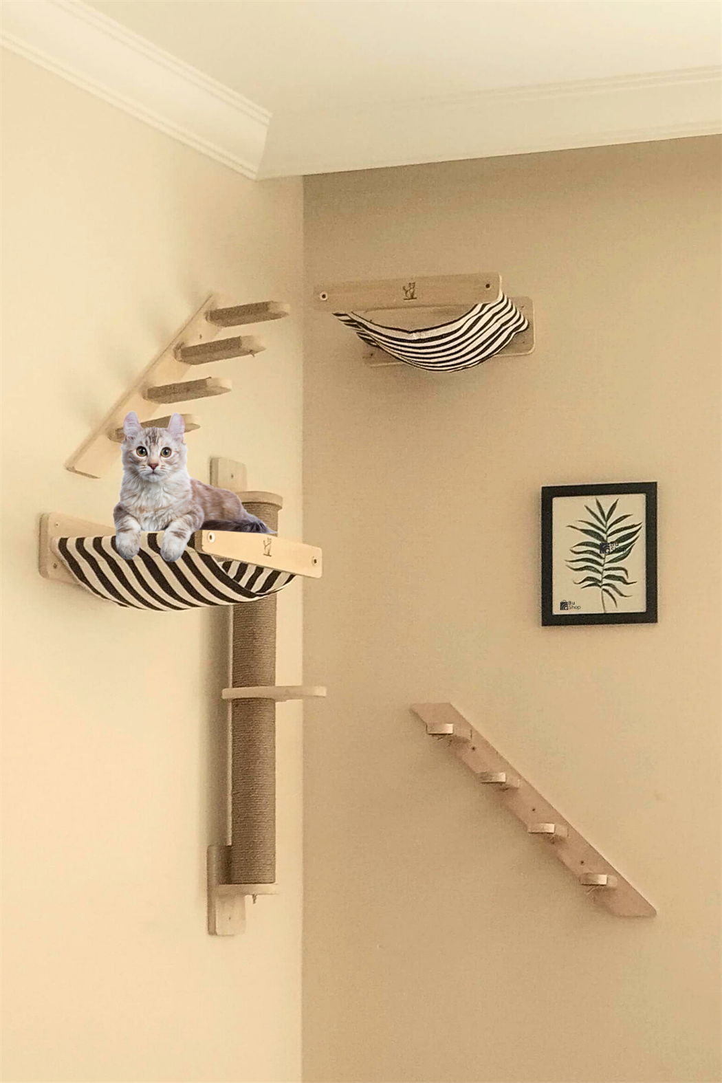 Kedi parkuru, Kedi evi, Kedi yatağı, Kedi Duvar Evi, Kedi Duvar Rafı, Muhteşem 5 parça sol kedi parkuru set