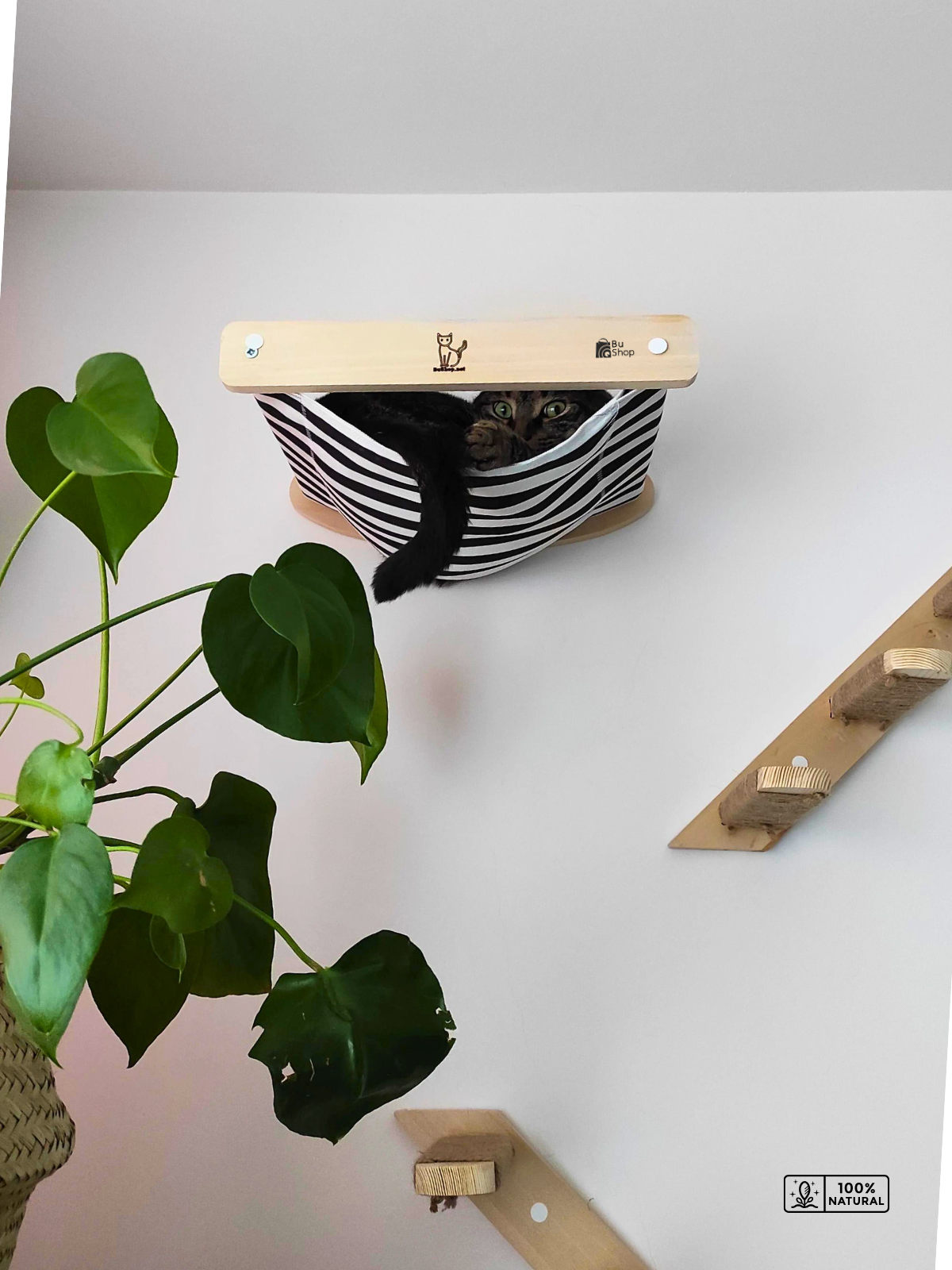 Kedi duvar parkuru Kedi Tırmalama Kedi Parkuru Kedi Evi 12 Parça Patiyol Premium