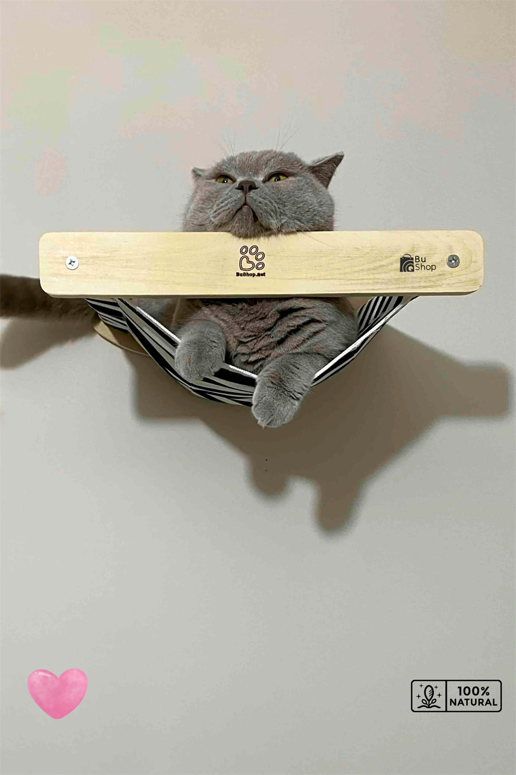 Kedi parkuru, Kedi evi, Kedi yatağı, Kedi Duvar Evi, Kedi Duvar Rafı, Muhteşem 5 parça sağ kedi parkuru set