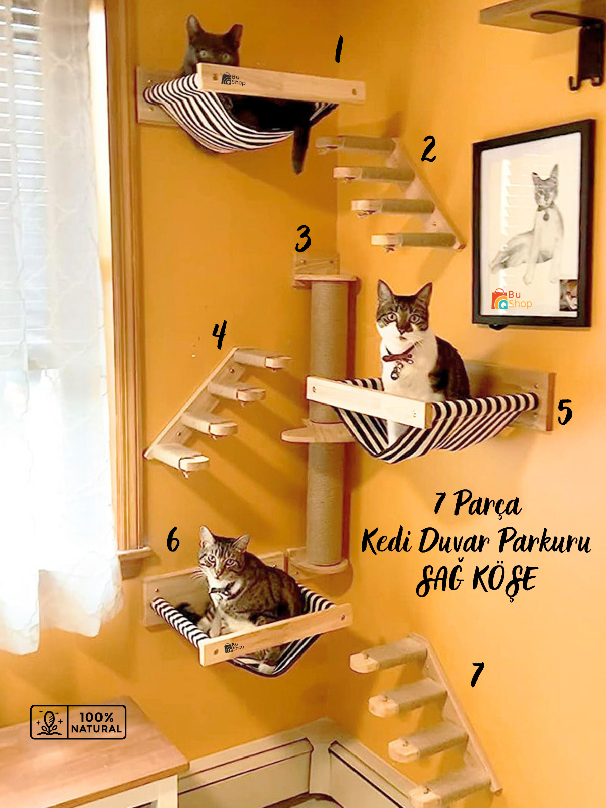 Kedi parkuru, Kedi evi, Kedi yatağı, Kedi Duvar Evi, Kedi Duvar Rafı, Muhteşem 7 parça kedi parkuru , Bushop Yellow