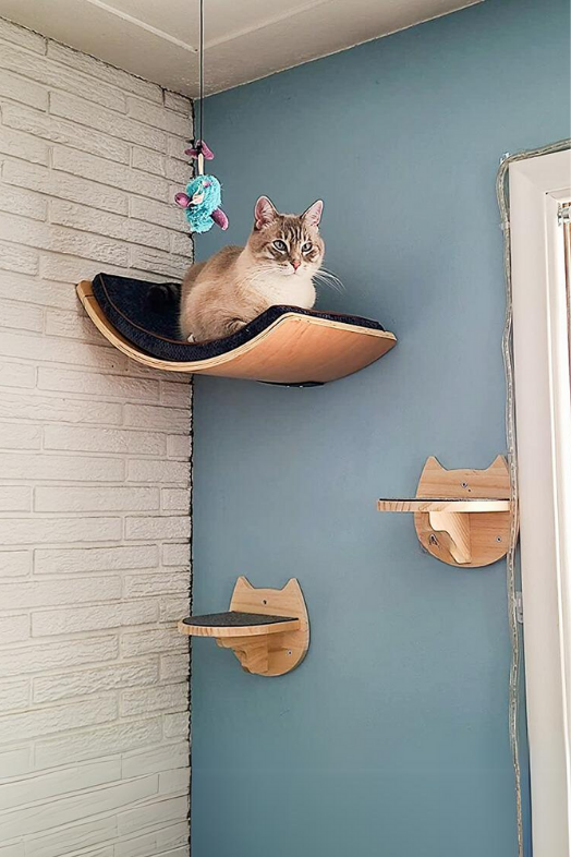 Kedi parkuru kedi yatağı kedi evi kedi duvar tırmanma oyun seti half moon modeli