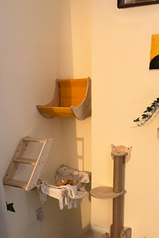 Kedi yatağı Kedi evi Kedi tırmalama ve Kedi duvar oyun seti Bushop Moonlight 4 Parça Set