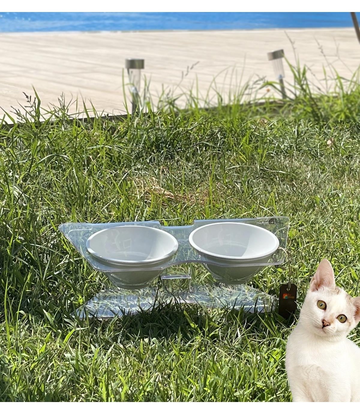 Kedi ve Köpek Dekorotif Mama ve Su Kabı  Beyaz Kase BuShop Modern  Akirilik Casper X Serisi