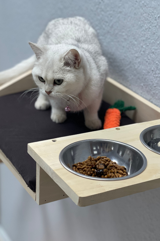 kedi yatağı kedi duvar hamağı ve mama kabı kedi ahşap hamak kedi mama ve su kabı margherita modeli
