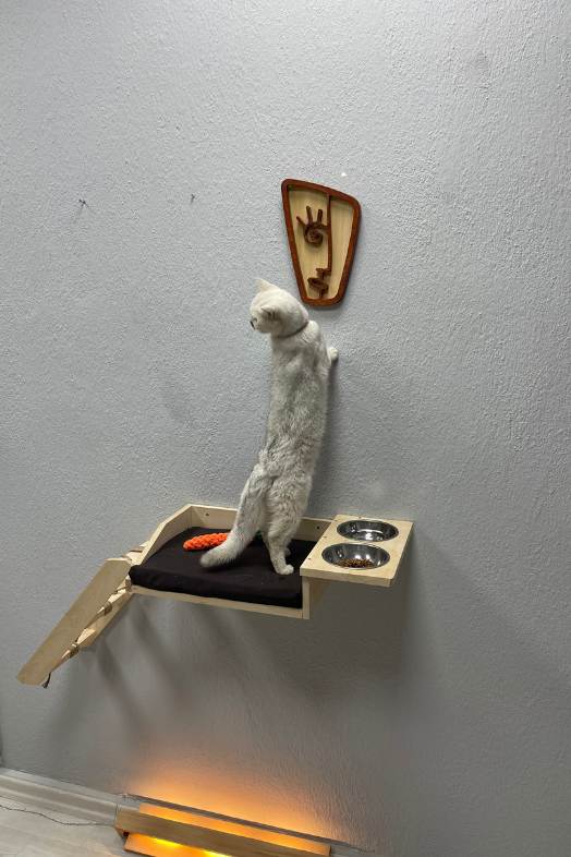 kedi yatağı kedi duvar hamağı ve mama kabı kedi ahşap hamak kedi mama ve su kabı margherita modeli